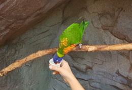 2019-08-31 11.05.45 - Kopie