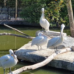 2019-08-31 11.08.22 - Kopie