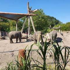 2019-08-31 11.08.56-1 - Kopie