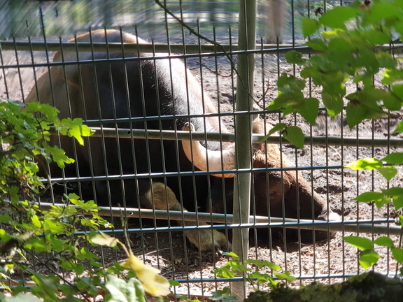 2019-08-31 11.15.52-1