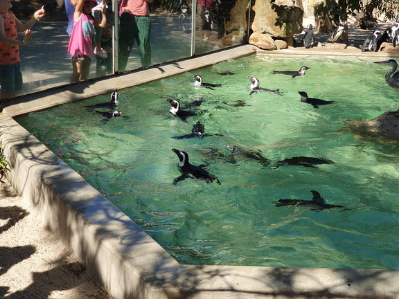 2019-08-31 11.51.50-1