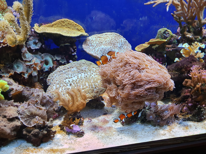 2019-08-31 12.02.51-1