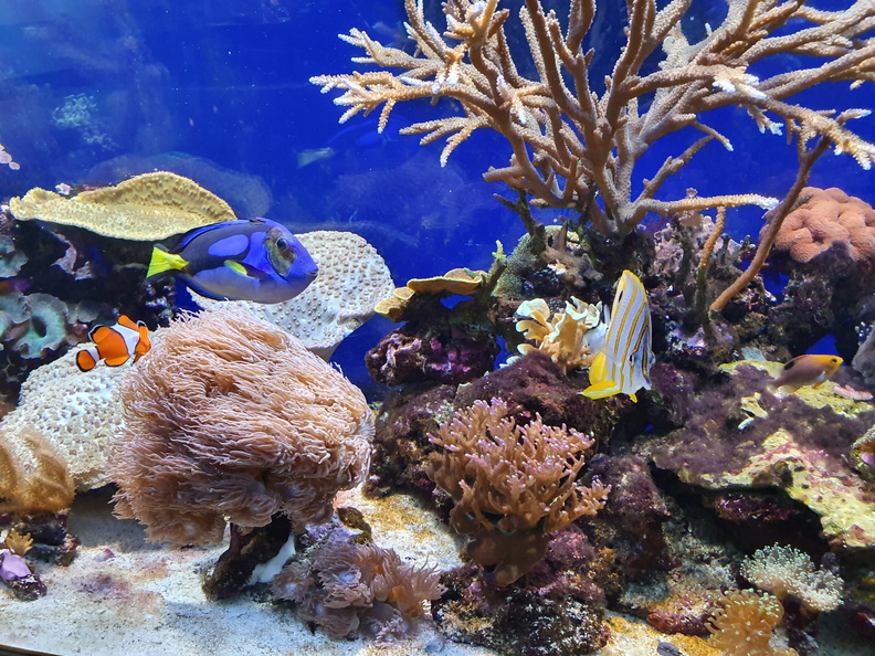 2019-08-31 12.03.24-1