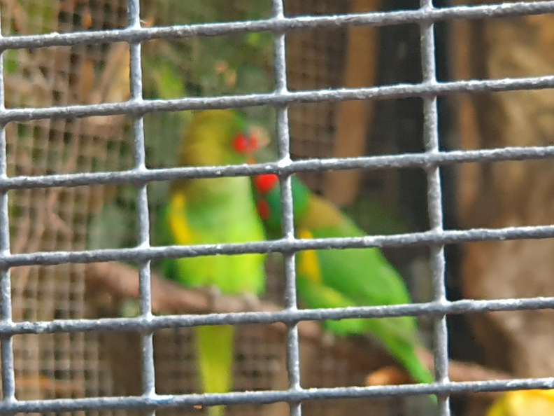 2019-11-03 13.39.56-1