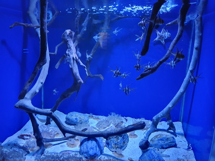 2019-11-03 13.59.35-1