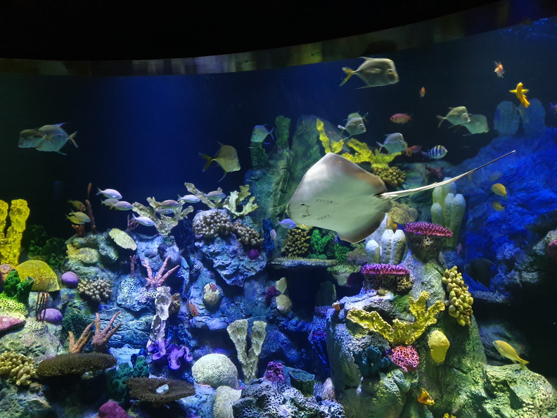 2019-11-03 13.54.13-1