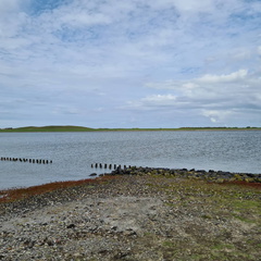 IMG 20200904 194847 593