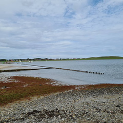 IMG 20200904 194847 596