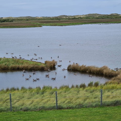 IMG 20200904 194847 620